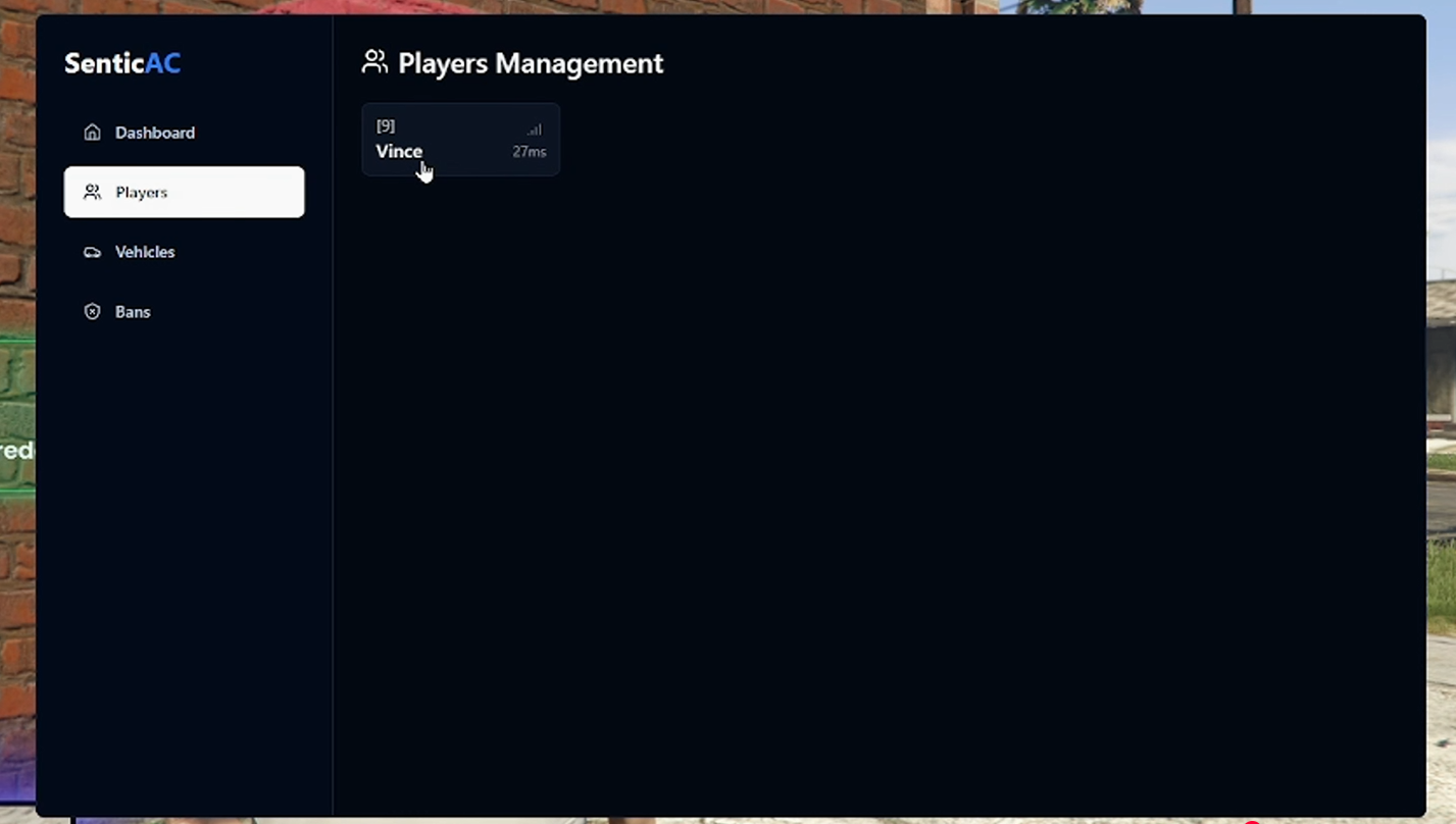 Ingame Menu