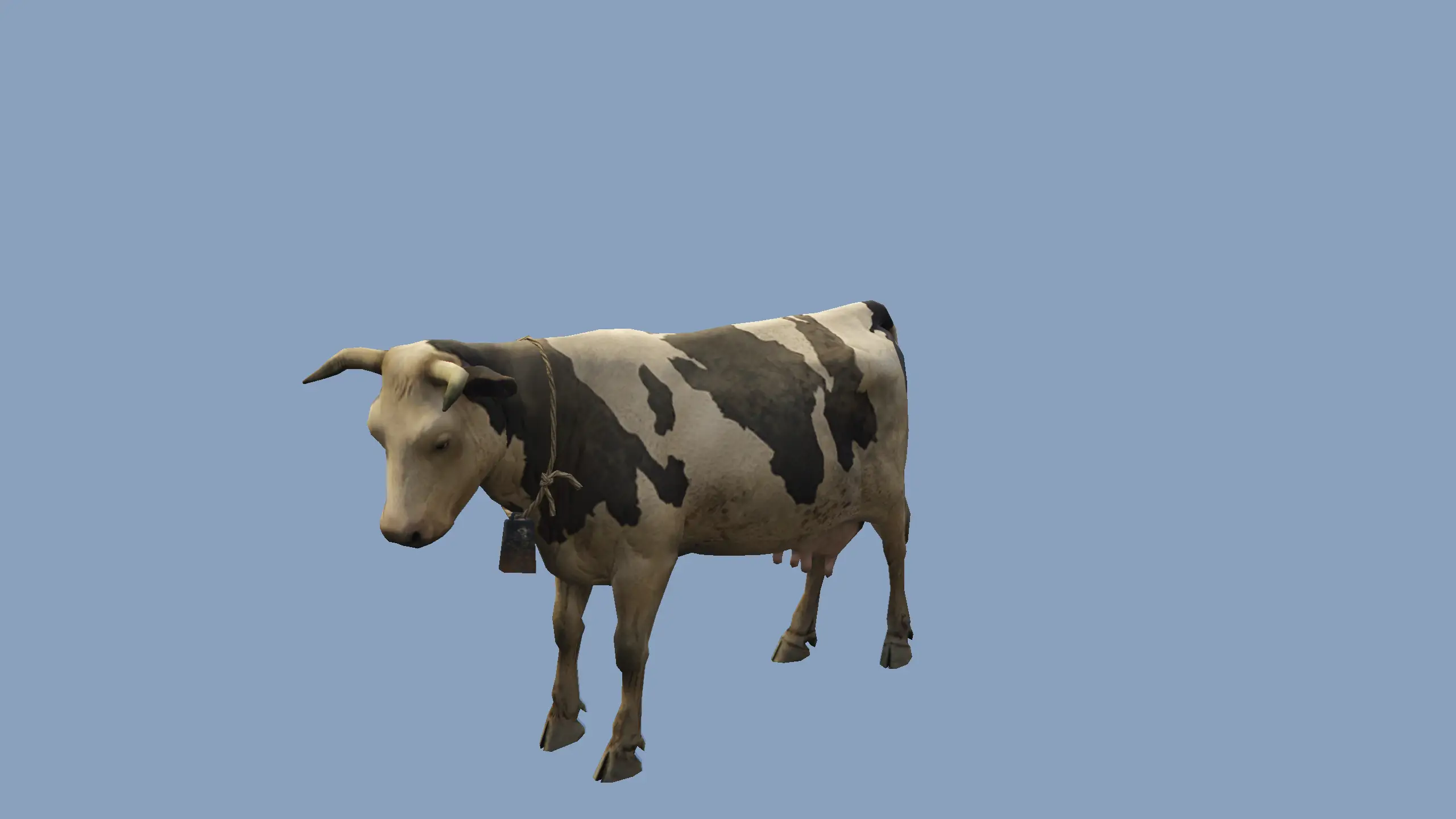 Cow