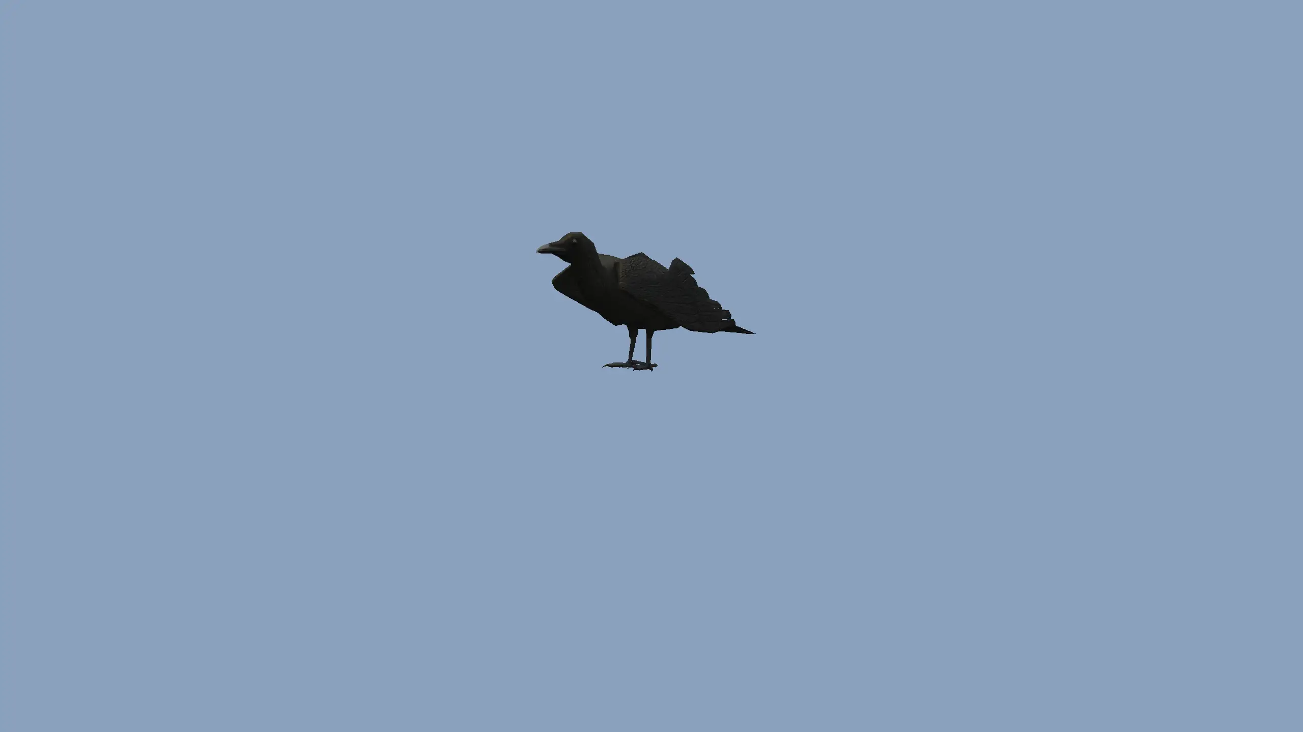 Crow