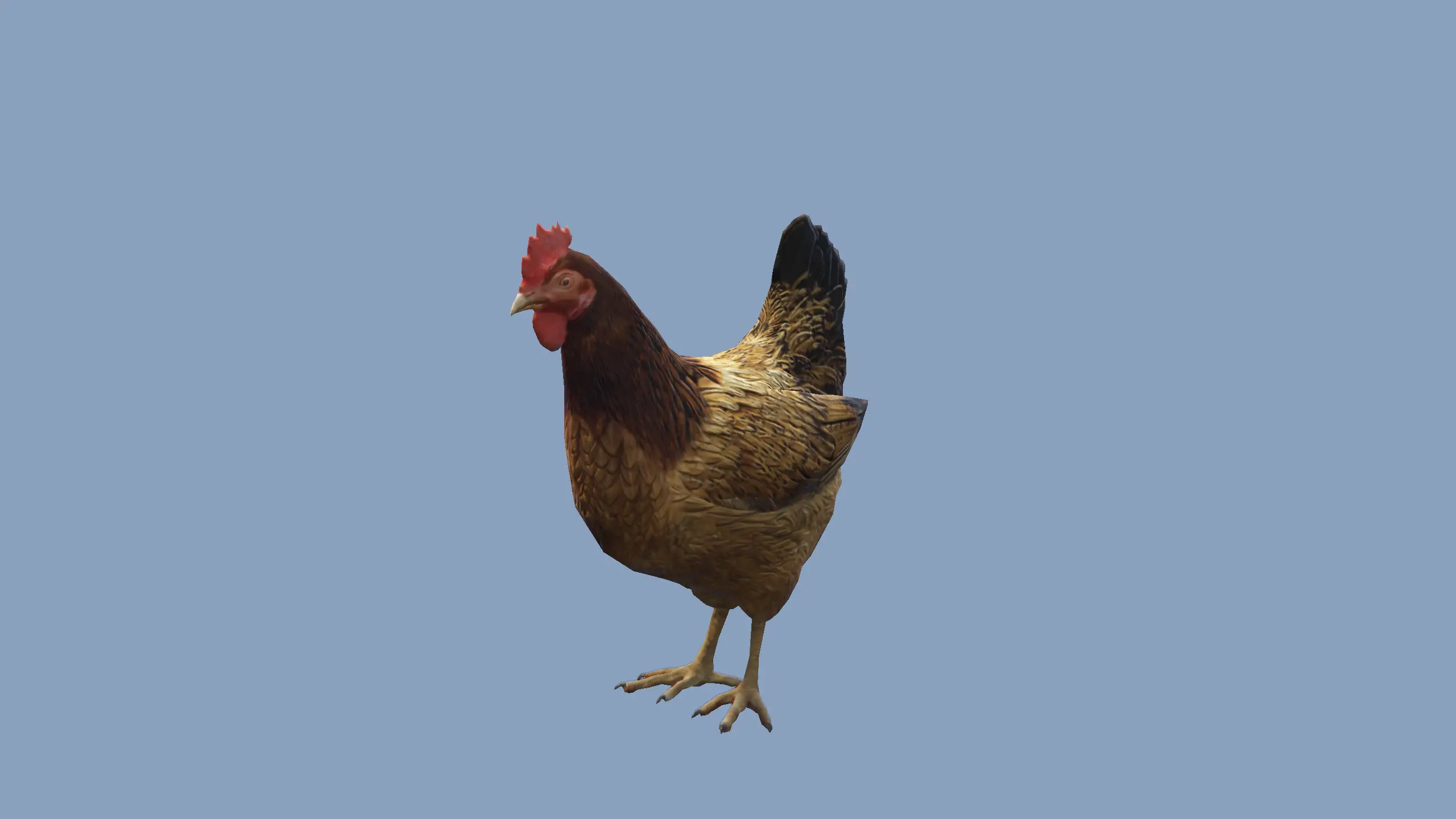 Hen