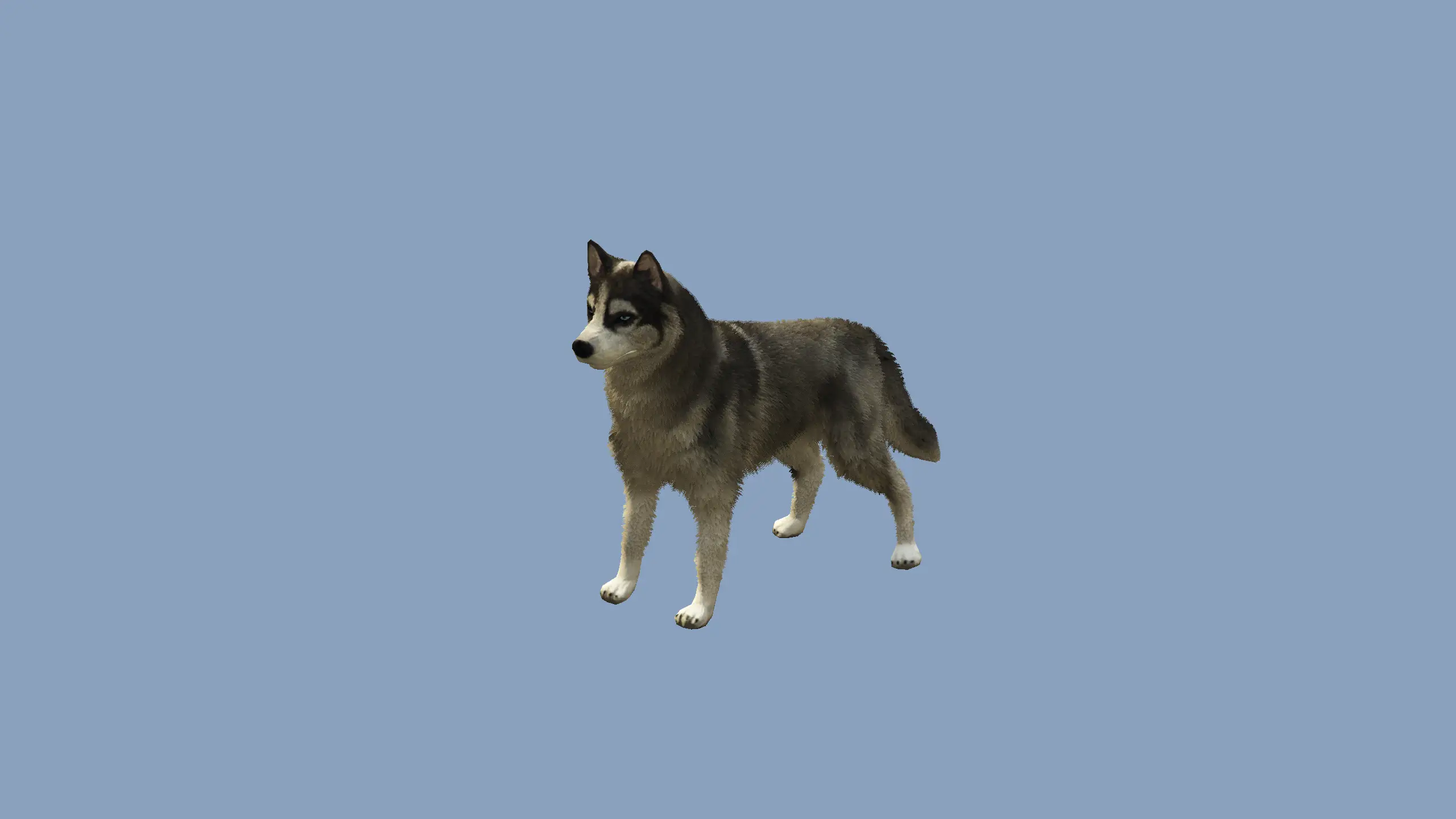 Husky