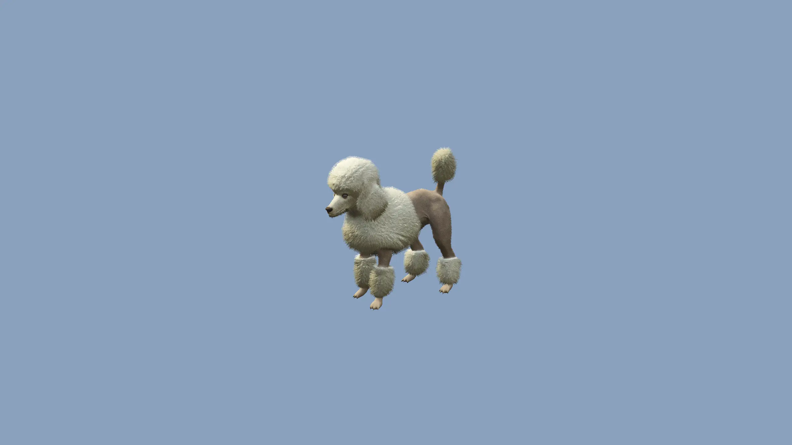 Poodle